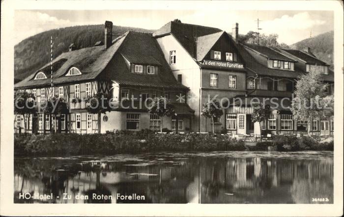 Ilsenburg Harz HO Hotel Zu den roten Forellen