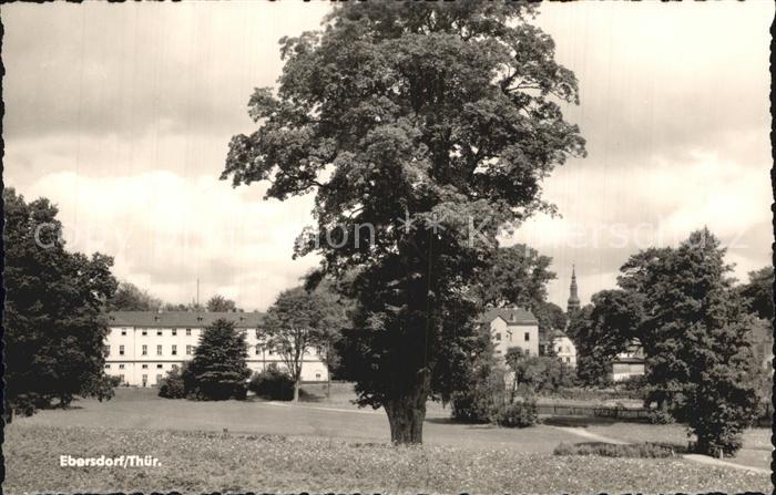Ebersdorf Thueringen Teilansicht Park Alter Baum