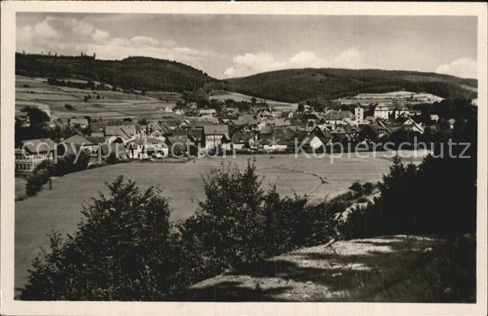 Schwarza Thueringer Wald Panorama