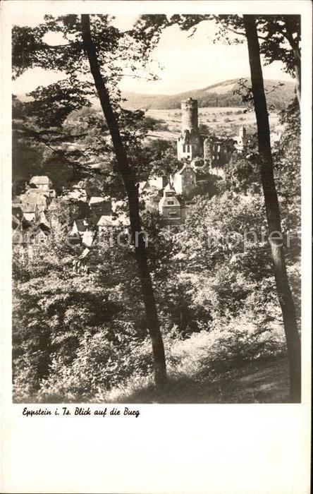 Eppstein Taunus Panorama mit Blick auf die Burg