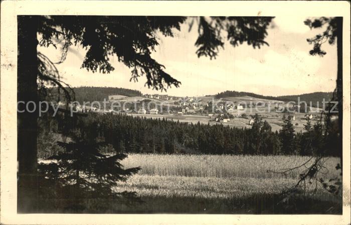 Vogelsgruen Panorama