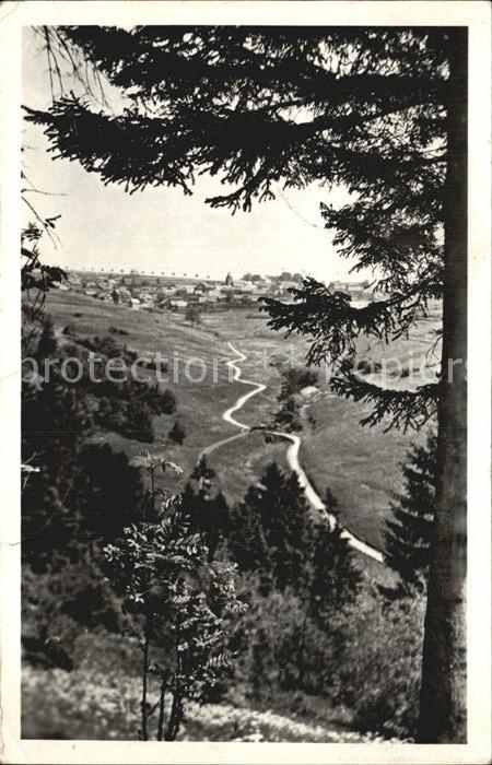 Schnett Panorama Blick vom Waldrand aus Kurort