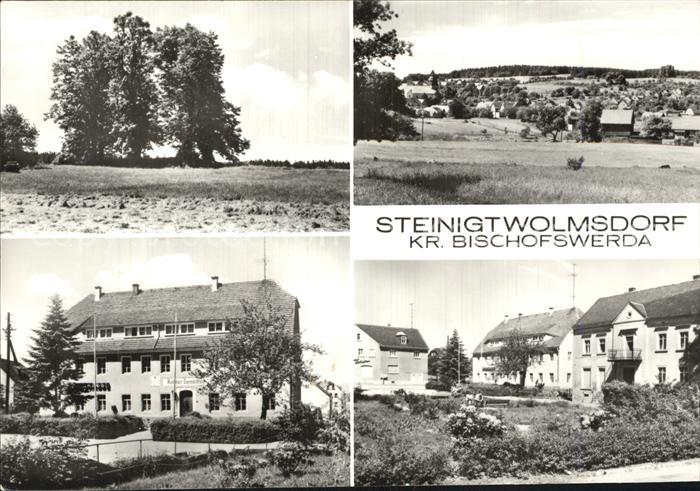 Steinigtwolmsdorf Baumgruppe Gesamtansicht Rat der Gemeinde Wohnhaeuser