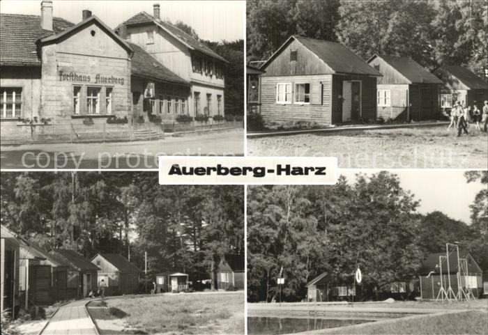 Auerberg Harz Ferienlager mit Gaststaette