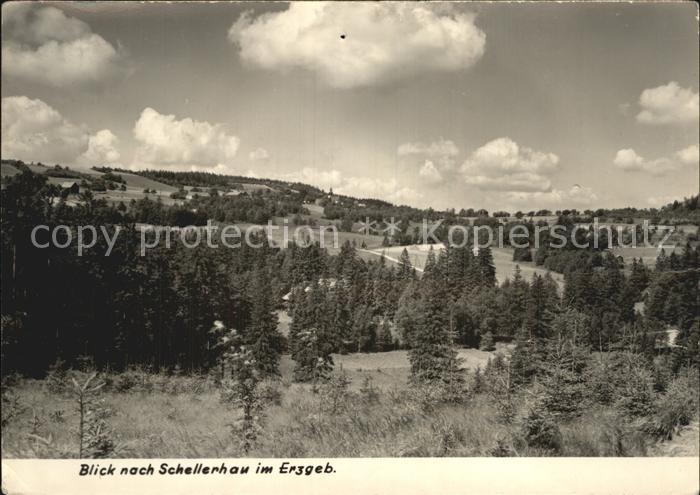 Schellerhau Panorama Landschaft Handabzug