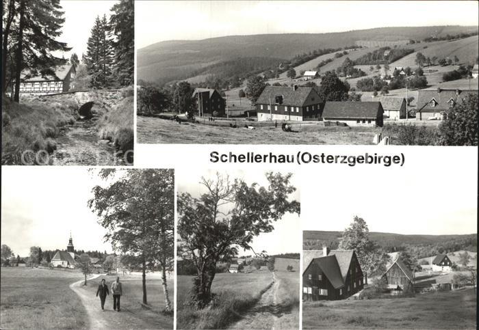 Schellerhau Teilansichten Erholungsort Bach Bruecke