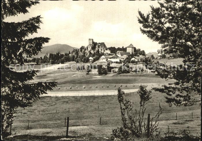 Weissenstein Regen Burgruine Bayerischer Wald