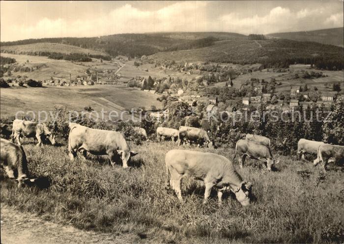 Stuetzerbach Panorama Viehweide Kuehe