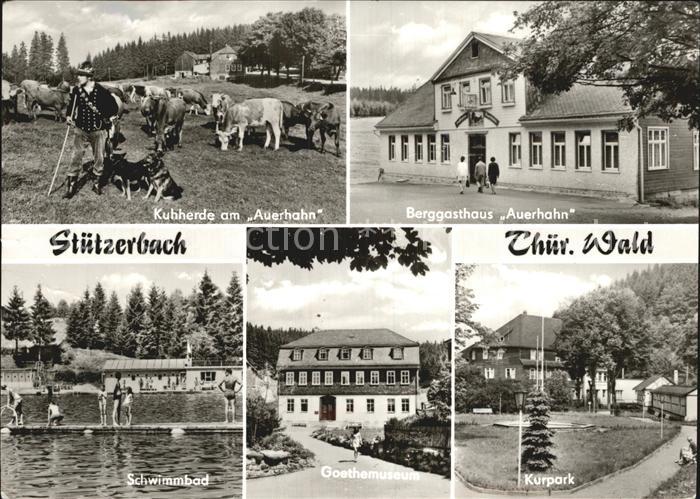 Stuetzerbach Kuhherde am Auerhahn Berggasthaus Kurpark Goethemuseum Schwimmbad