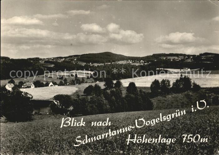 Vogelsgruen Panorama Blick von Auerbach Brunn