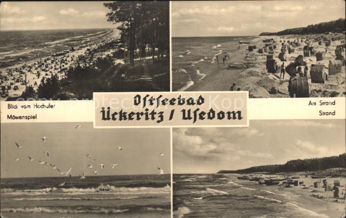 ueckeritz Usedom Hochufer Strand Moewen