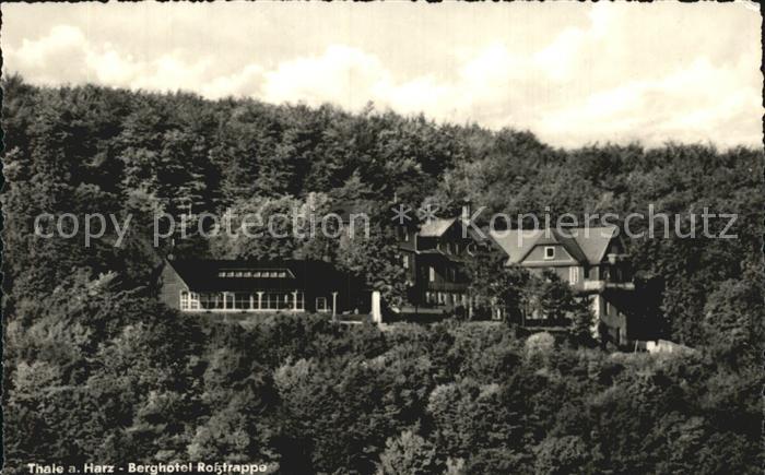 Thale Harz Berghotel Rosstrappe