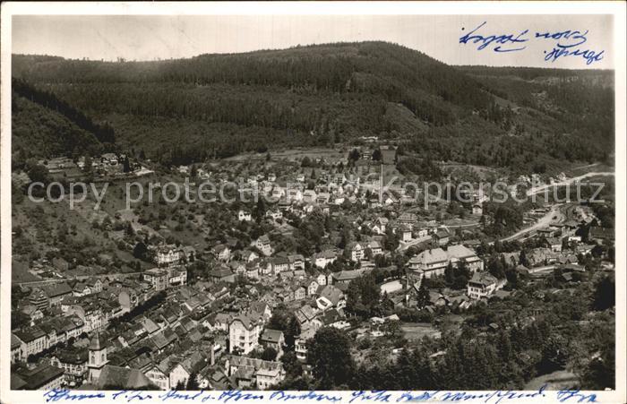 Wildbad Schwarzwald Panorama