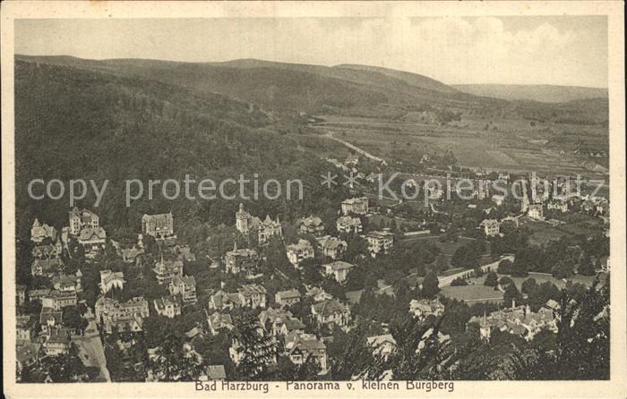 Bad Harzburg Panorama vom kleinen Burgberg