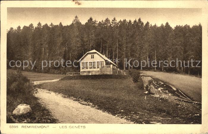 Remiremont Vosges Les Genets