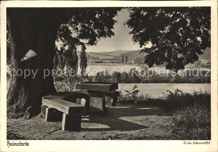 Bad Sooden-Allendorf Gerichtslinde