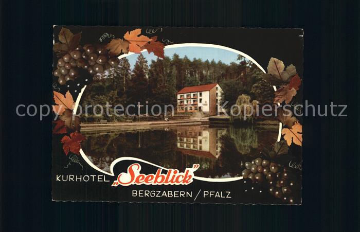Bad Bergzabern Kurhotel Seeblick