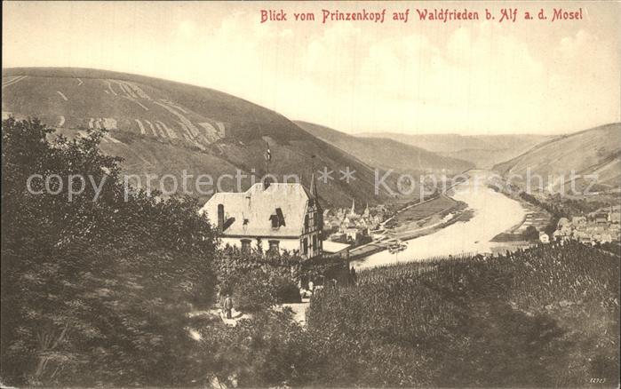 Alf Mosel Blick vom Prinzenkopf auf Waldfrieden