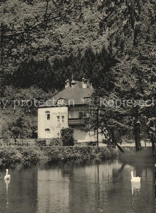 Bad Bertrich Villa Mosella