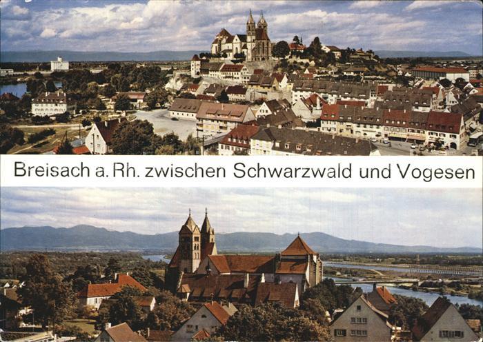 Breisach Rhein Muensterpartien