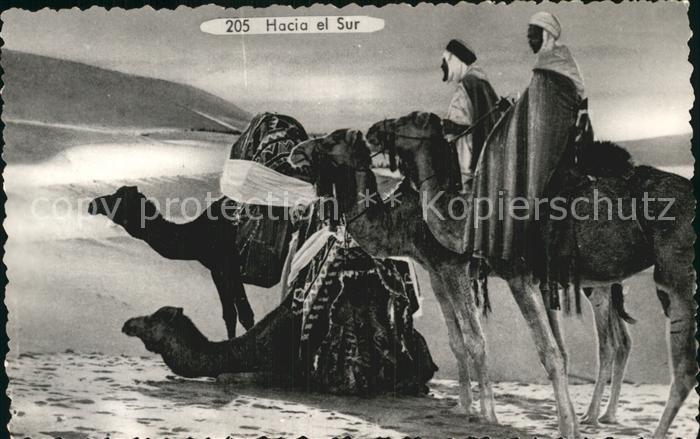 Kamel  Camel Chameau Hacia el Sur