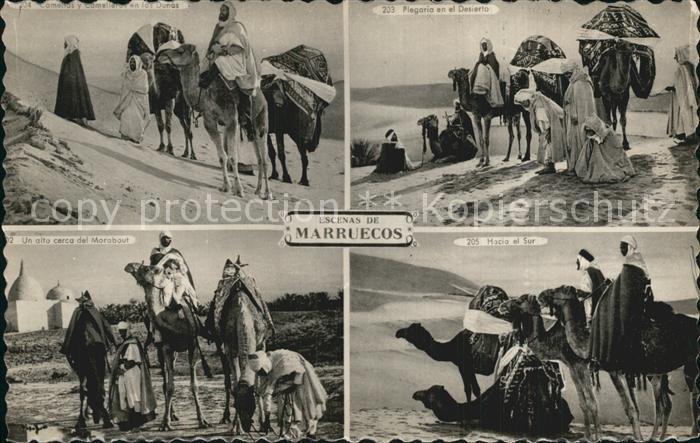 Kamel  Camel Chameau Marokko Typen Plegaria en el Deserto Morabout
