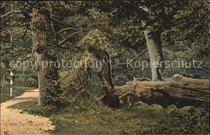 Baeume Trees Varel