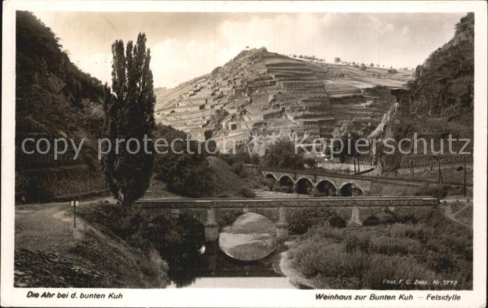 Foto Zeitz F.G. Nr. 1778 Ahr Bunte Kuh Felsidylle