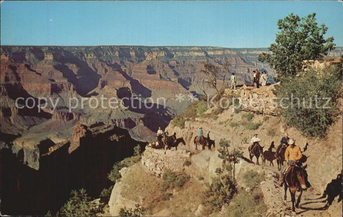 Grand Canyon National Park Arizona Head of Bright Angel Trail