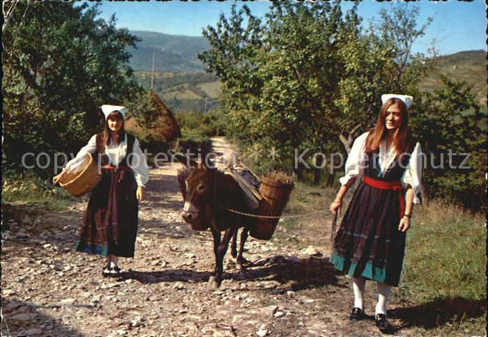 Esel Tiere Trachten Kroatien