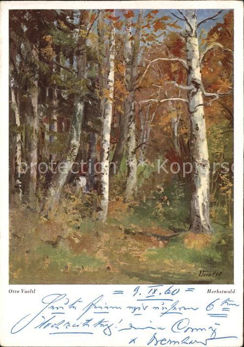 Verlag Wiechmann Nr. 225 Otto Vaeltl Herbstwald