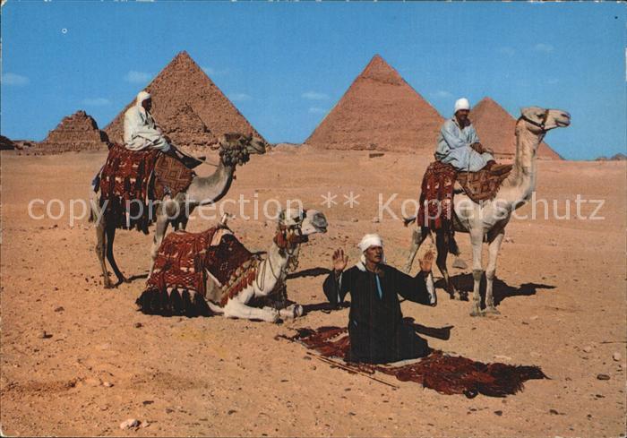 Kamel  Camel Chameau Kamelreiter Pyramide Gebet