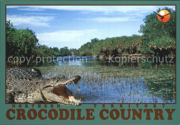 Krokodile Northern Territory Australia