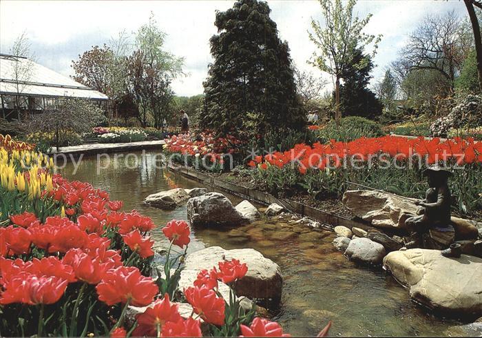 Blumen Tulipshow Frans Roozen Vogelzang