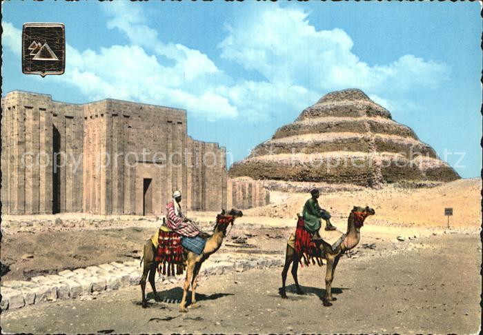 Kamel  Camel Chameau Sakkara King Zoser's Step Pyramid