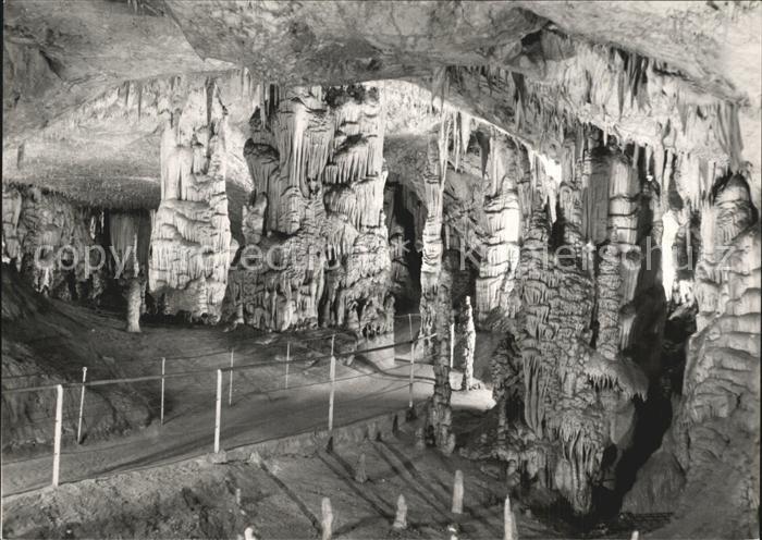 Hoehlen Caves Grottes Postojnska Jama Slowenien