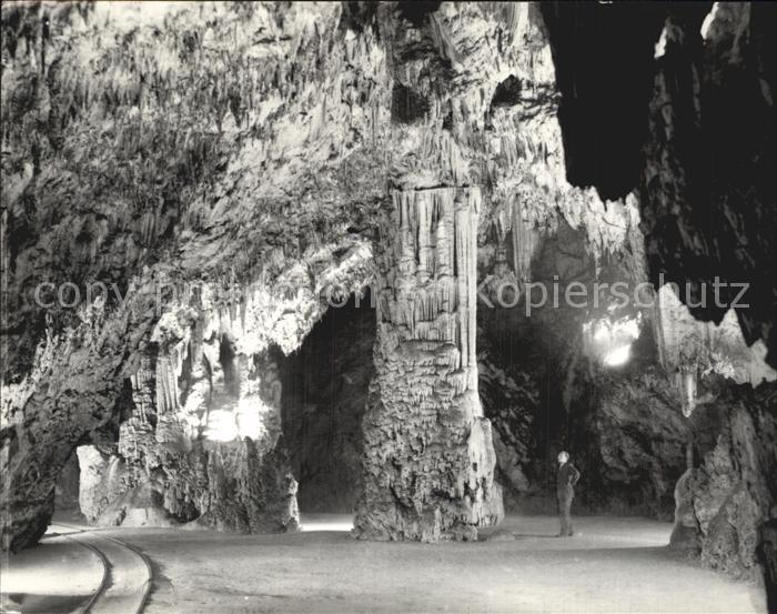 Hoehlen Caves Grottes Postojnska Jama Slowenien
