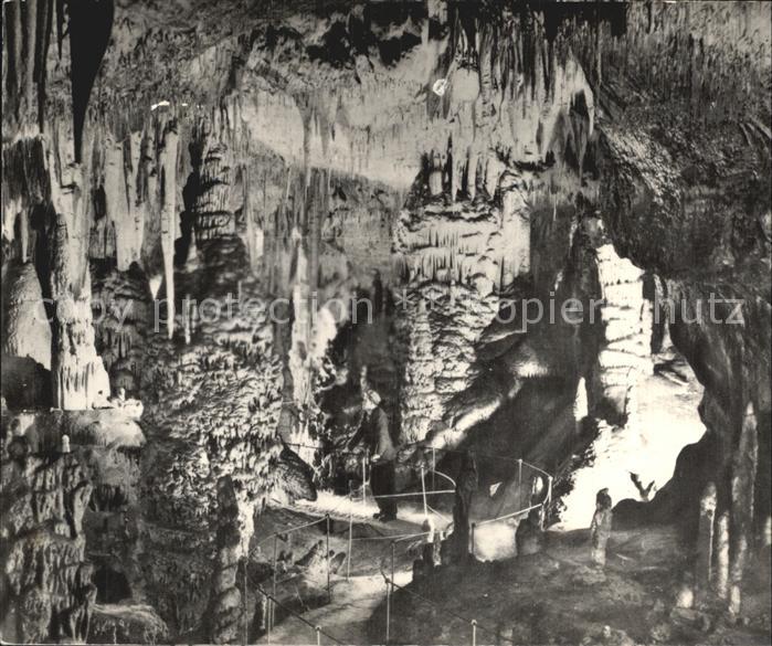 Hoehlen Caves Grottes Postojnska Jama Slowenien Weisser Saal