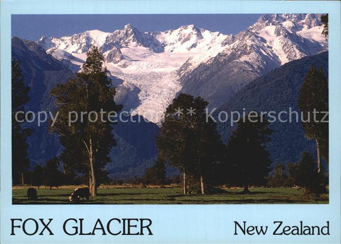 Gletscher Fox Glacier New Zealand