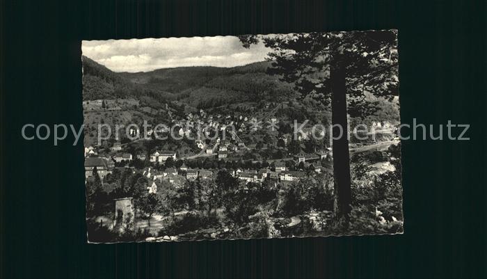 Wildbad Schwarzwald Panorama Rennbachtal