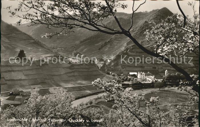 Laach Ahr Lochmuehle Ahrtal Guckley Baumbluete