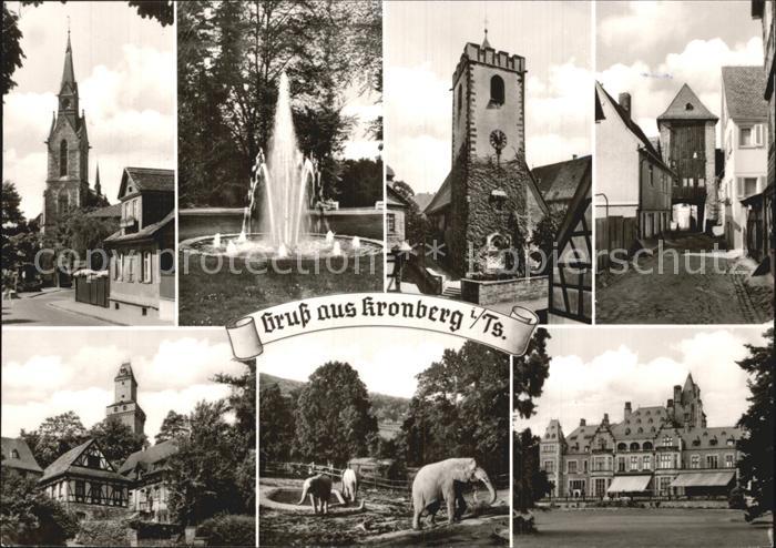 Kronberg Taunus Kirche Brunnen Turm Torbogen Markt Tierpark Elefanten