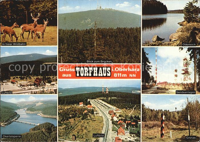 Torfhaus Harz Damwild in freier Wildbahn Okertalsperre Brocken Luftbild Oderteic