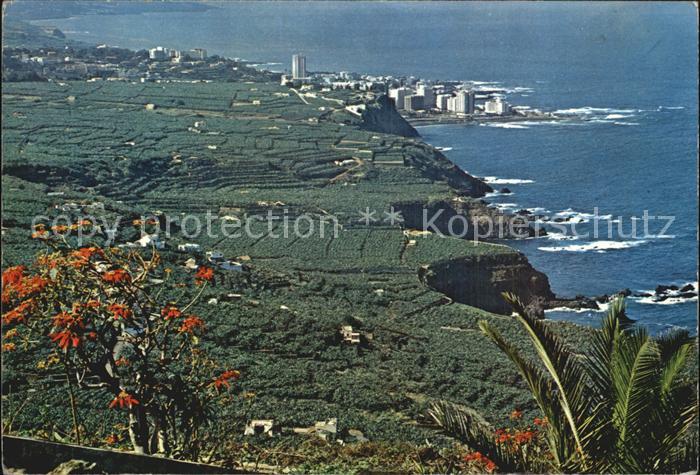Tenerife Valle de La Orotava al fondo Puerto de la Cruz Costa Steilkueste