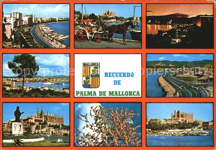 Palma de Mallorca Teilansichten Denkmal Baumbluete Sonnenuntergang Pferdekutsche