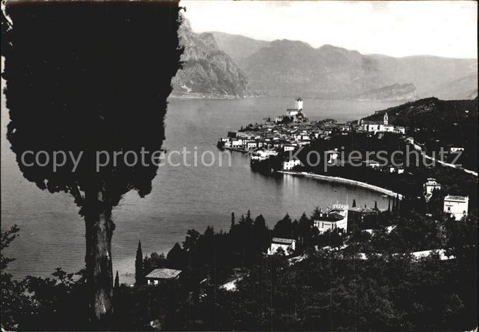 Malcesine Lago di Garda Panorama Gardasee