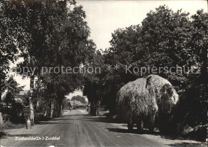 Zuidwolde Zuiddal Baumallee Heuwagen