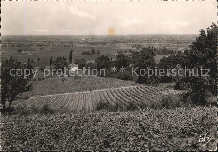 Bergerac Vue sur les Fameux Vignobles de Monbazillac