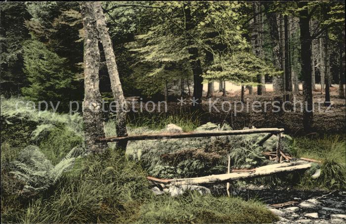 Saint Hubert Wallonie