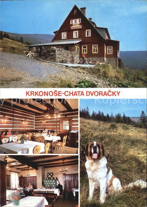 Krkonose Chata Dvoracky Bernhardiner